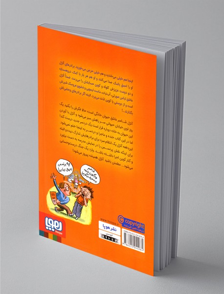 احمق با نمک 2