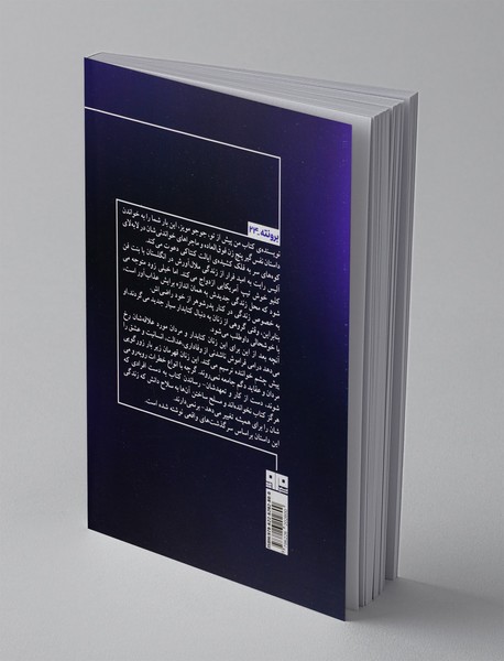 دشت ستاره ها