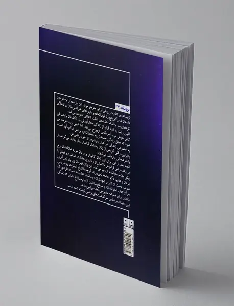 دشت ستاره ها