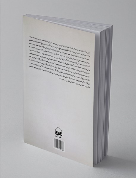 دولت در جامعه