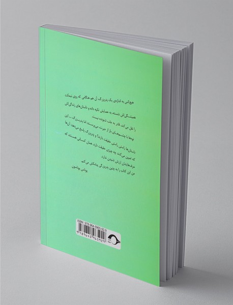 پیرمرد صدساله ای که از پنجره ی خانه سالمندان زد به چاک و ناپدید شد