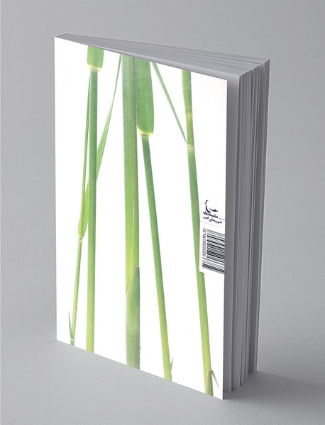 پس از بیست سال