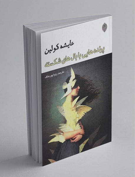 پرنده هایی با بال های شکسته پرنده هایی با بال های شکسته