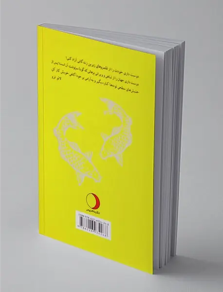 هو آهو چینگ