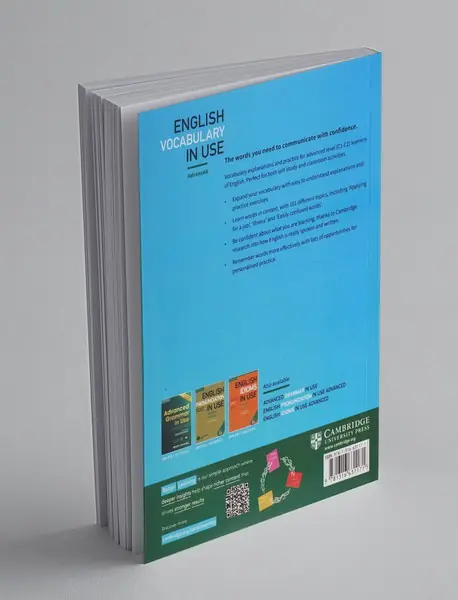 English Vocabulary in Use Advanced