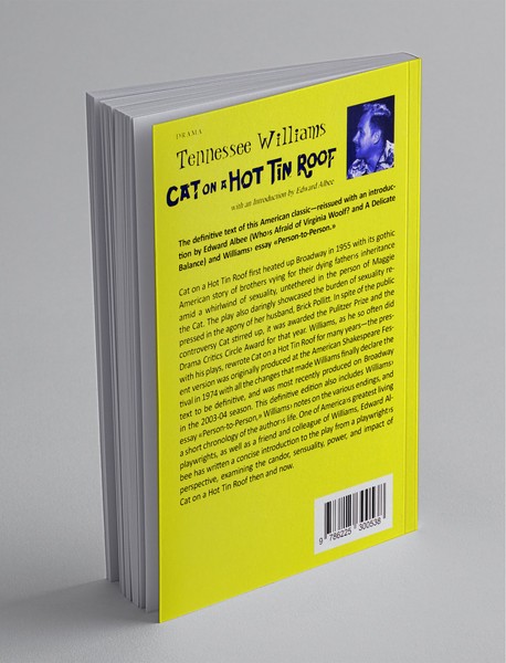 Cat On a Hot Tin Roof