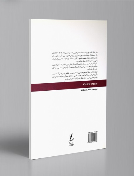 تئوری انتخاب