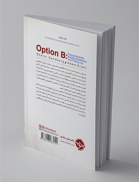 مسیر جایگزین