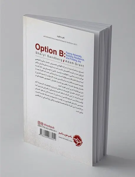 مسیر جایگزین