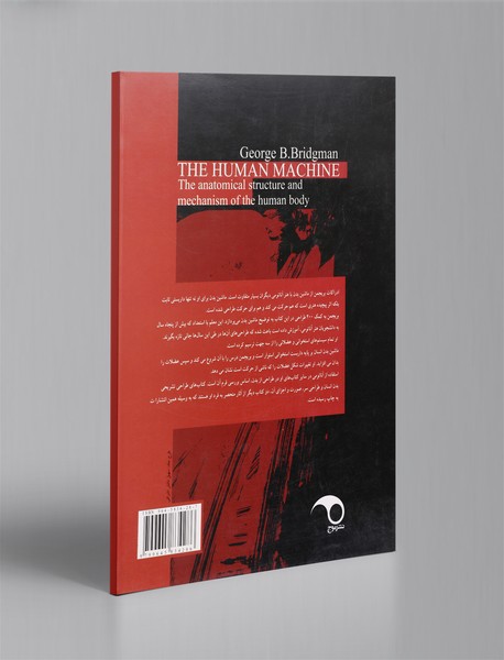 ساختار مکانیکی بدن انسان