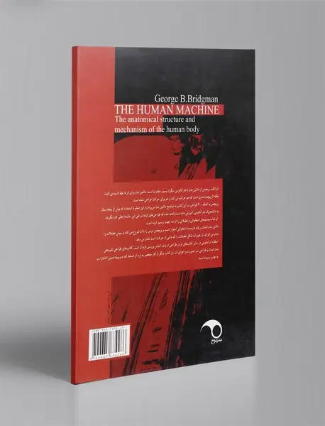 ساختار مکانیکی بدن انسان