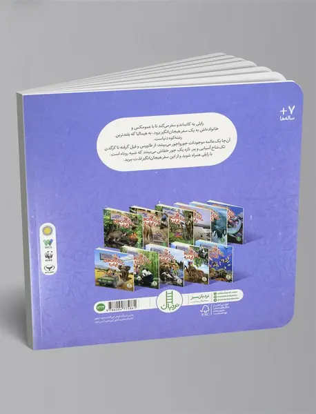 ماجراجویی‌های رایلی