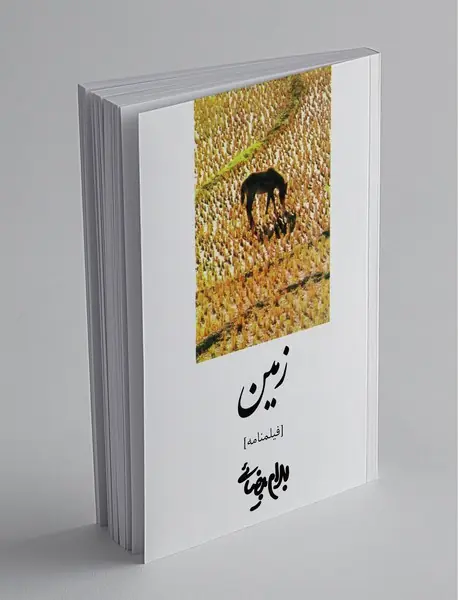 زمین