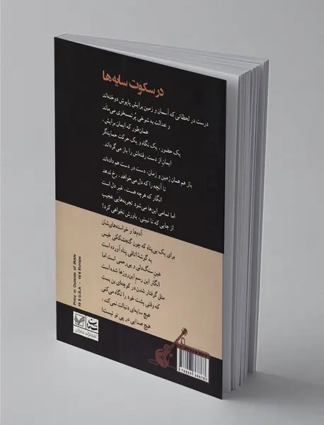 در سکوت سایه ها