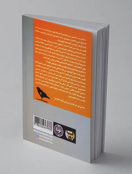 یادم بود و کلاغ بود و من