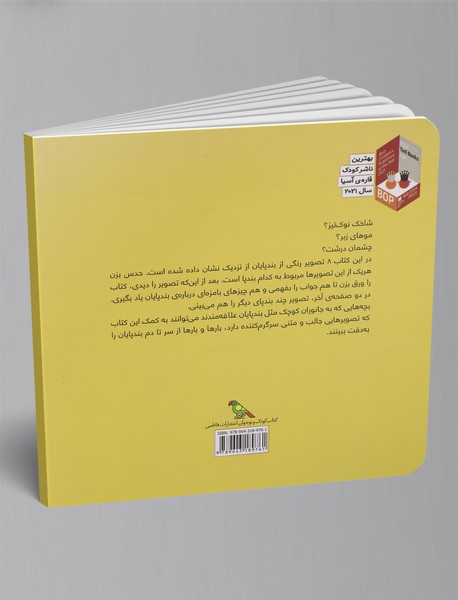 بندپایان از سر تا دم