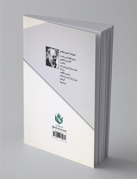 یک سبد خاطره، یک سینه حرف