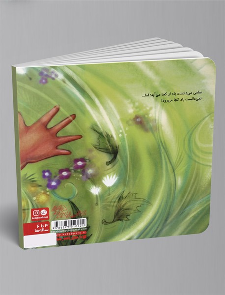 پسری که به دنبال باد رفت