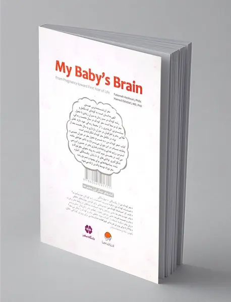 مغز کودک من