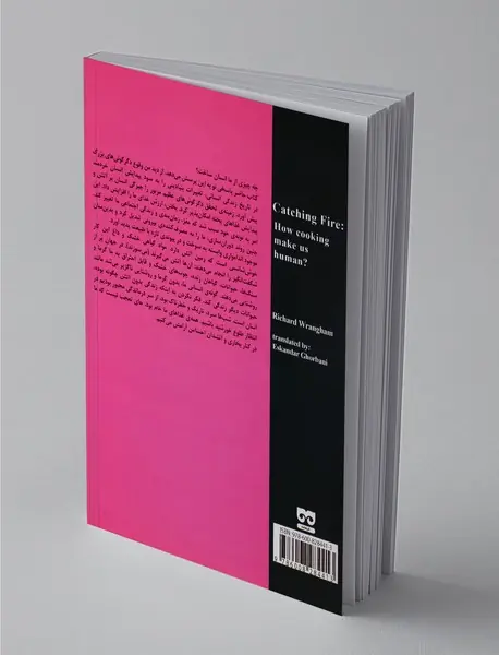 چیرگی بر آتش