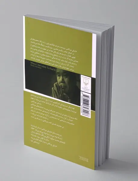 کجا ممکن است پیدایش کنم