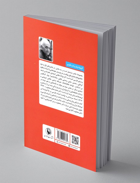 خاکستر هستی