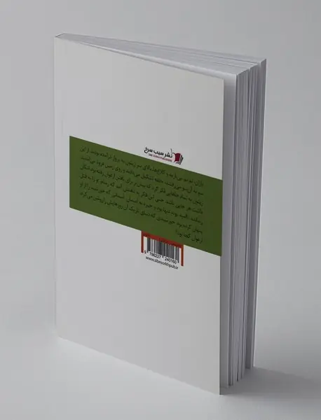 دنیای زیتون