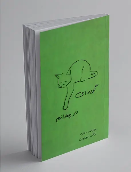 گربه ای در چمدانم