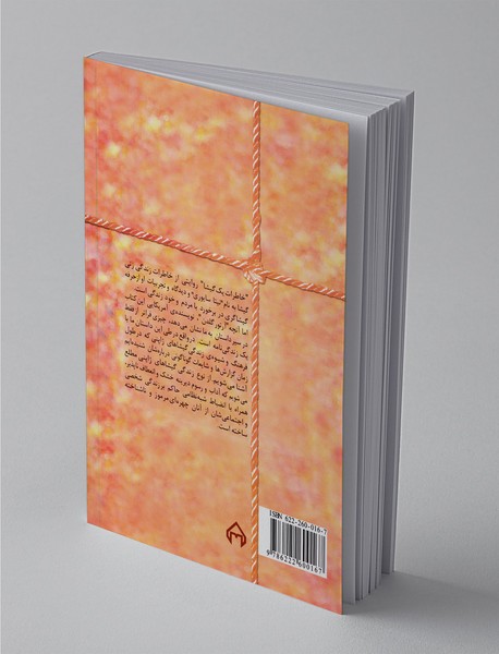 خاطرات یک گیشا