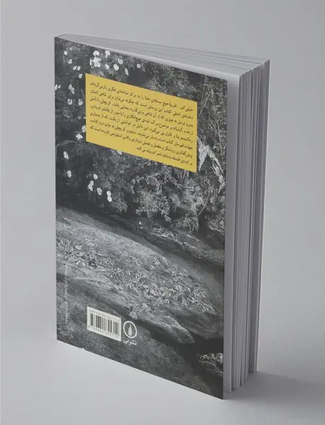 خیلی کم... تقریبا هیچ