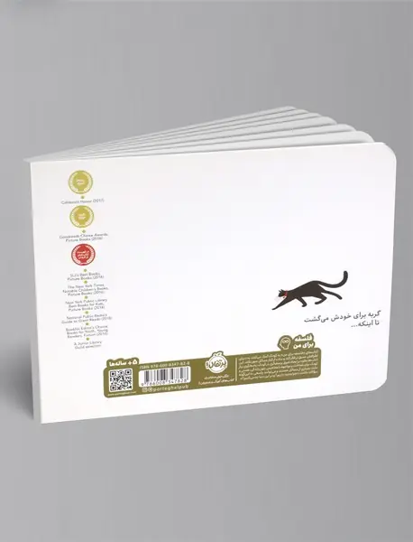 همه گربه را دیدند