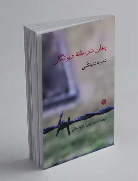 پنهان در خانه دیوانگان