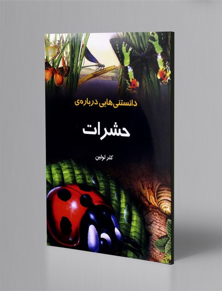 دانستنی هایی درباره ی حشرات