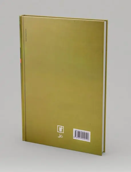 سامان سیاسی در جوامع دستخوش دگرگونی