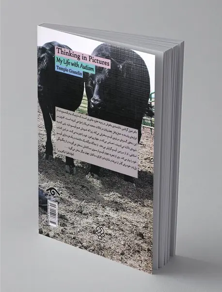 تصویری اندیشیدن