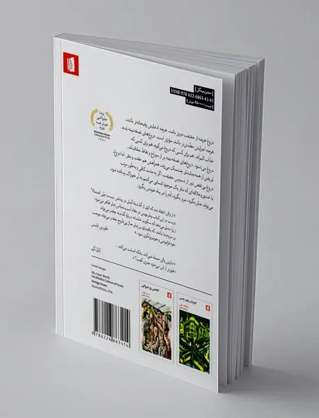 ازدواج‌های فیلیپس بورگ