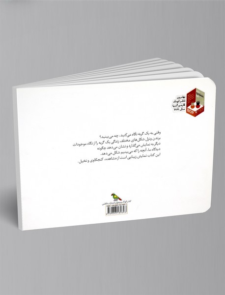 همه‌ی آن‌ها یک گربه دیدند