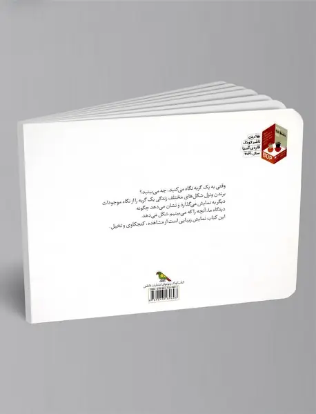 همه‌ی آن‌ها یک گربه دیدند