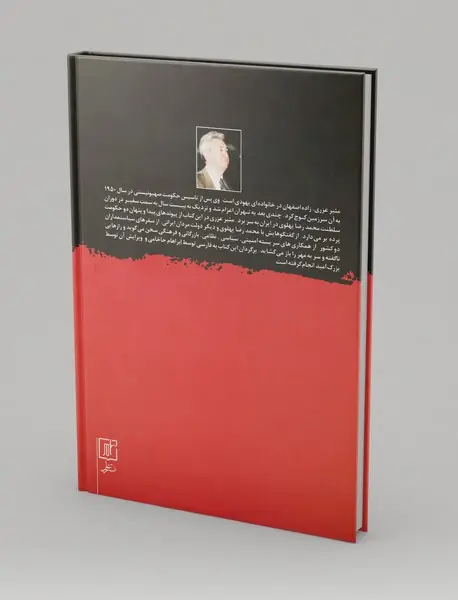 خاطرات مئیر عزری