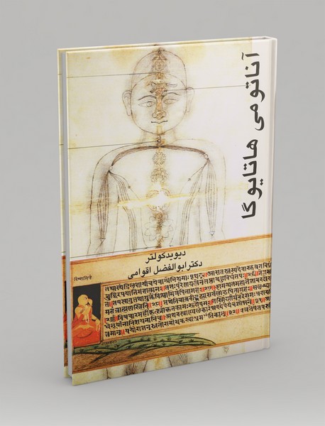 آناتومی هاتایوگا آناتومی هاتایوگا