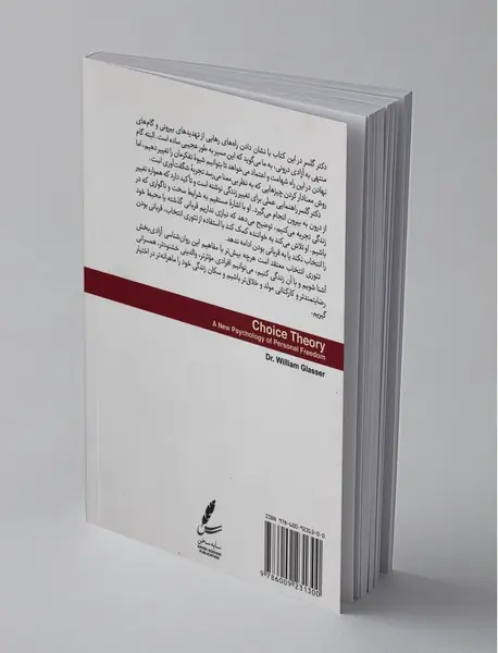 تئوری انتخاب