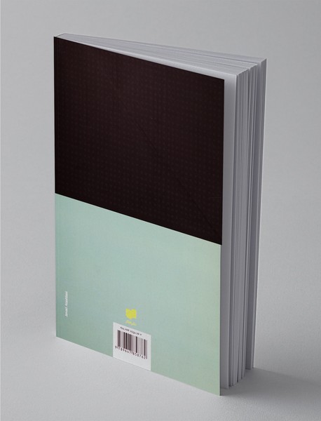 دگرگونی ساختاری حوزه عمومی