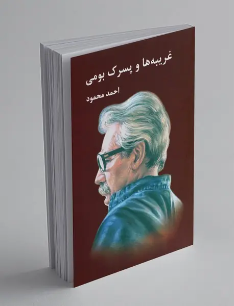 غریبه‌ها و پسرک بومی