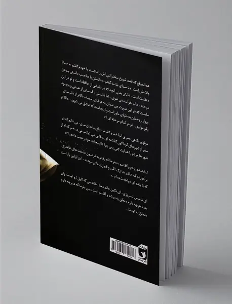 شمس عاشق