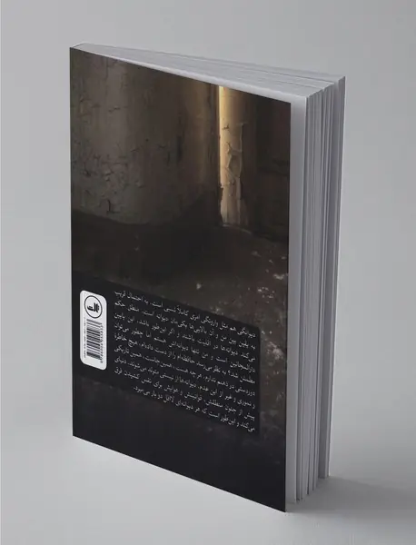 وقایع‌نگاری مرگ یک دیوانه