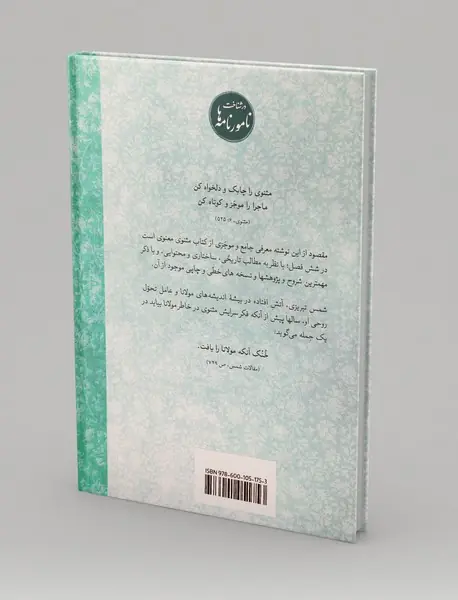 در شناخت مثنوی معنوی