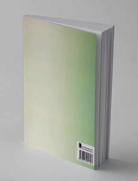 آینه‌های روبرو