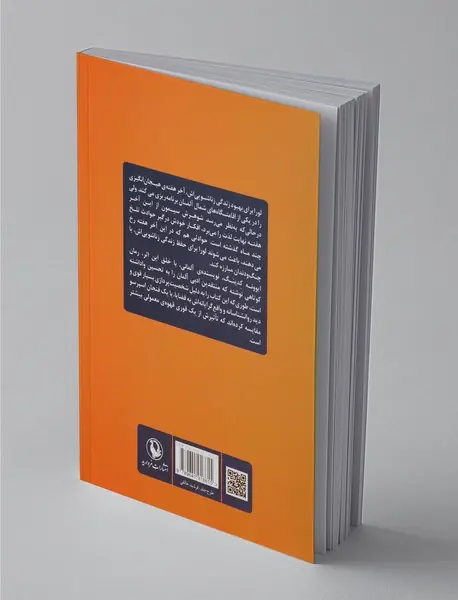 یک سال در سه روز