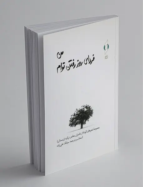 من فردای روز رفتن توام