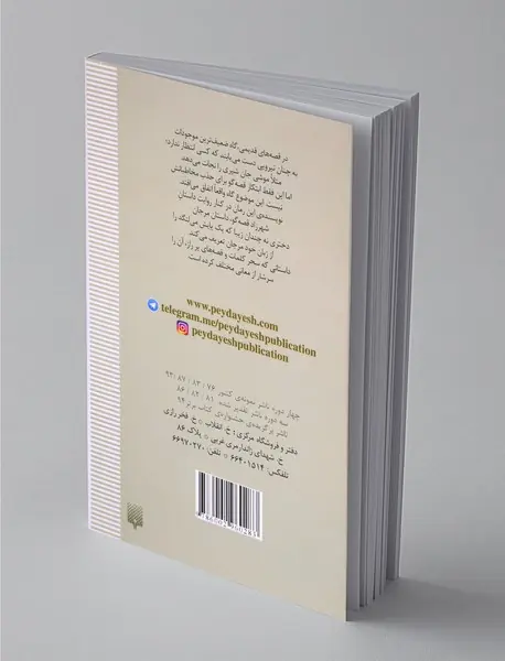 گمشده‌ی شهرزاد